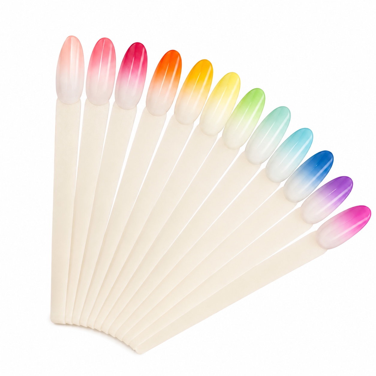 Baby Blend Palette – Édition Summer