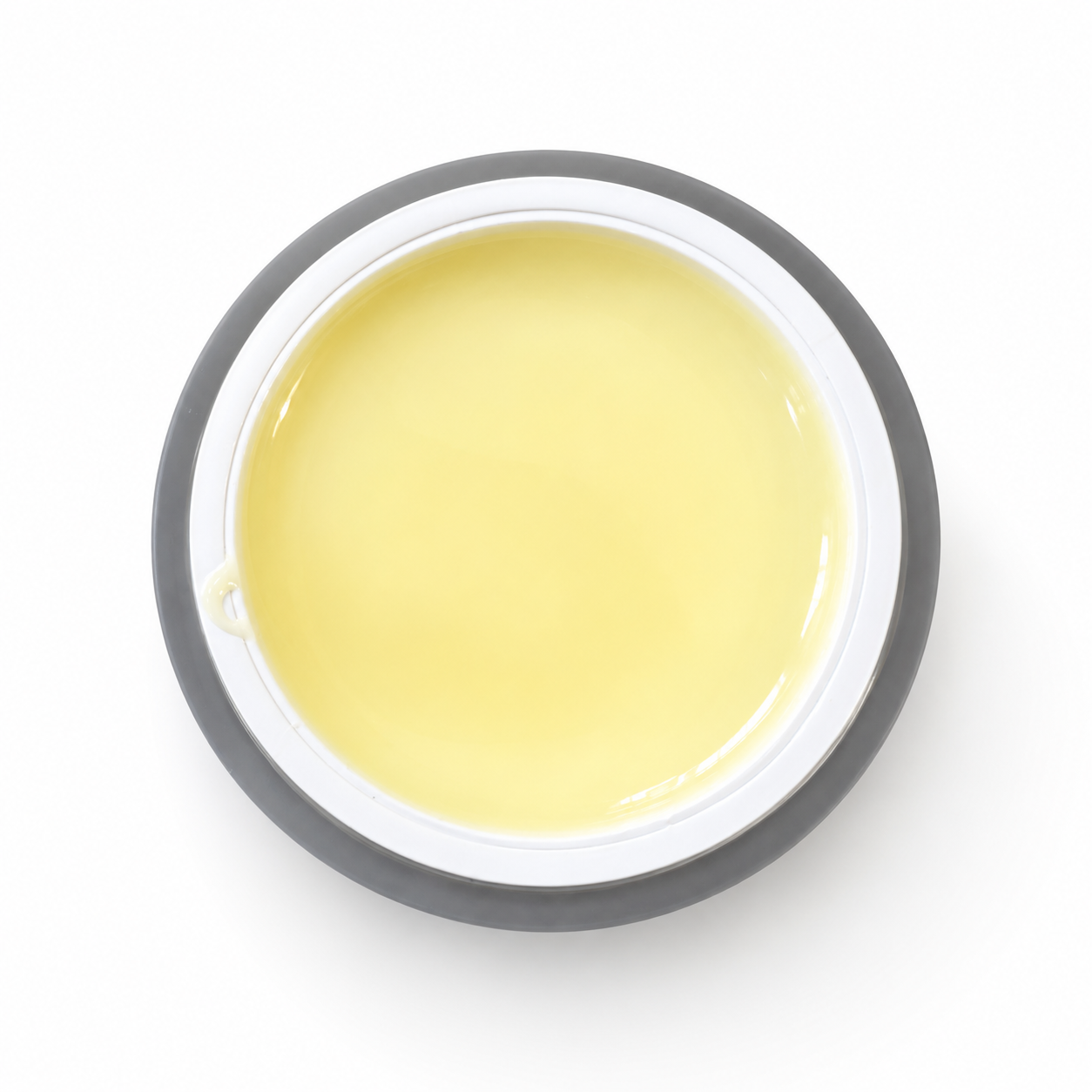 PALM PARADISE – LIMONCELLO