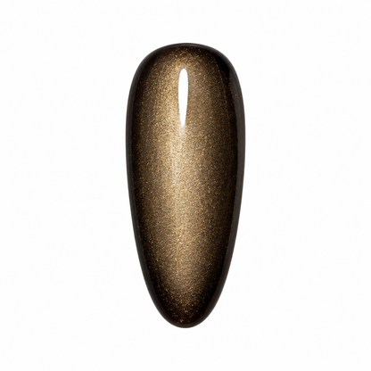 VSP LUMIÈRE D’AUTOMNE — TRUFFE