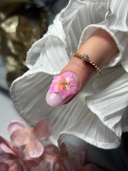 Pack de la PO : L’Intégral - Naia Nails Formations